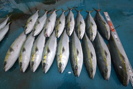 アジアマリンサービス 釣果