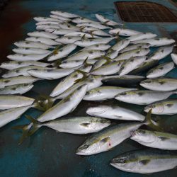 アジアマリンサービス 釣果