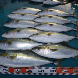 アジアマリンサービス 釣果