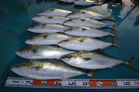 アジアマリンサービス 釣果