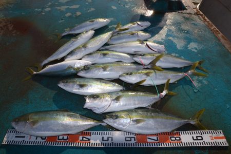 アジアマリンサービス 釣果