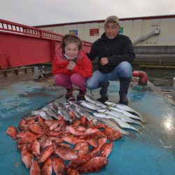 アジアマリンサービス 釣果