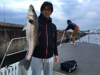 シーマジカル 釣果