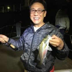 シーマジカル 釣果