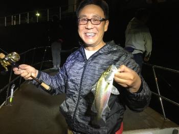 シーマジカル 釣果