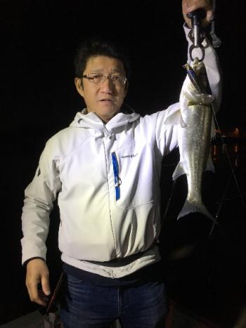 シーマジカル 釣果