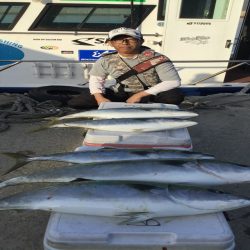 ジギング船 BLUEWATER 釣果