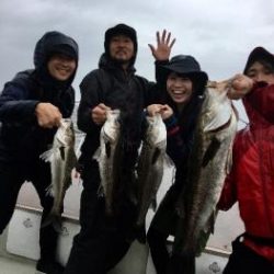 シーマジカル 釣果