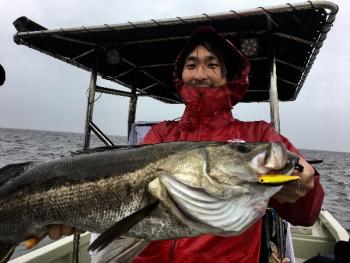 シーマジカル 釣果