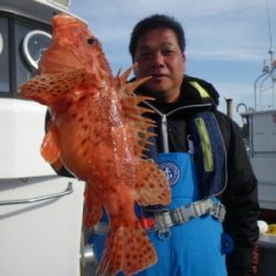 磯部釣船 直栄丸 釣果