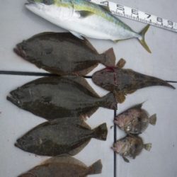 磯部釣船 直栄丸 釣果