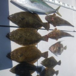 磯部釣船 直栄丸 釣果