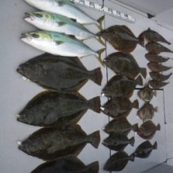 磯部釣船 直栄丸 釣果