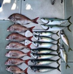 さぶろう丸 釣果