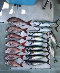 さぶろう丸 釣果