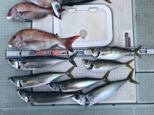 さぶろう丸 釣果