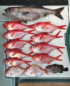 さぶろう丸 釣果