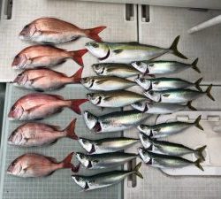 さぶろう丸 釣果