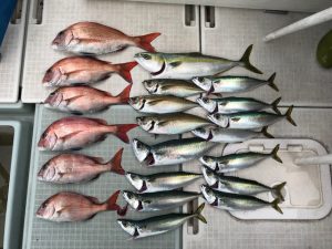 さぶろう丸 釣果