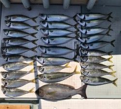 さぶろう丸 釣果