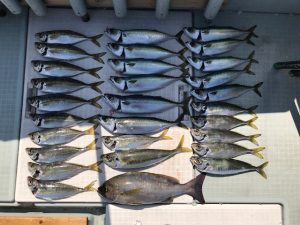 さぶろう丸 釣果