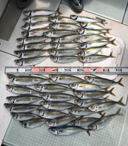 さぶろう丸 釣果