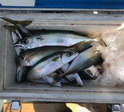 さぶろう丸 釣果