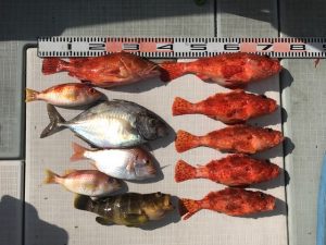 さぶろう丸 釣果