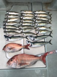 さぶろう丸 釣果