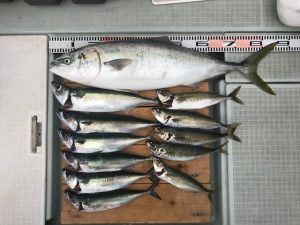 さぶろう丸 釣果