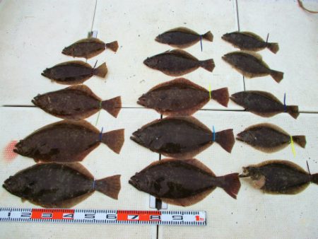 フィッシングガイド とちぎ 釣果