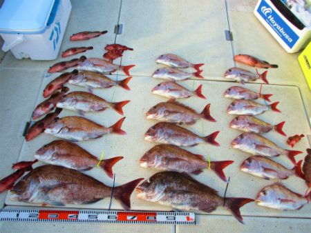 フィッシングガイド とちぎ 釣果