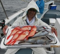 太郎丸 釣果