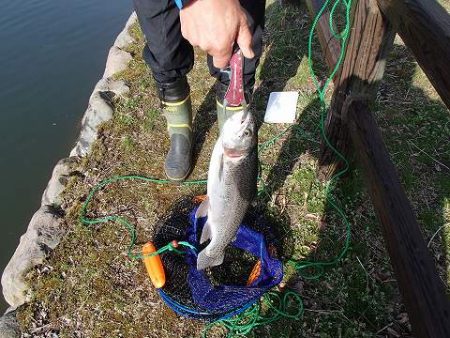 志高湖フィッシング 釣果