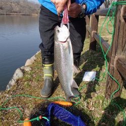 志高湖フィッシング 釣果