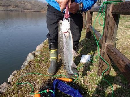 志高湖フィッシング 釣果