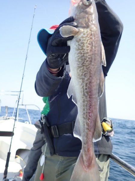 Aquanaut(アクアノート) 釣果