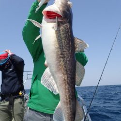 Aquanaut(アクアノート) 釣果