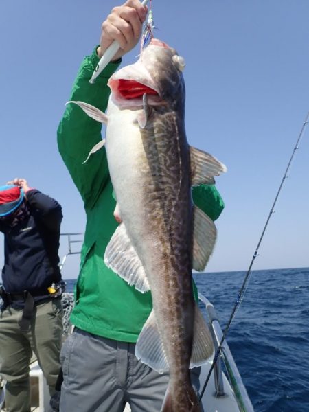 Aquanaut(アクアノート) 釣果