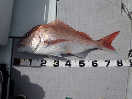 Aquanaut(アクアノート) 釣果