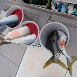 Aquanaut(アクアノート) 釣果