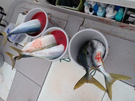 Aquanaut(アクアノート) 釣果