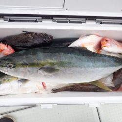 Aquanaut(アクアノート) 釣果