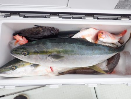 Aquanaut(アクアノート) 釣果