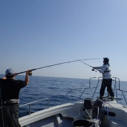 Aquanaut(アクアノート) 釣果