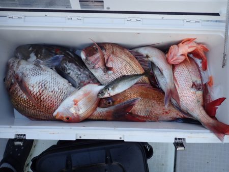 Aquanaut(アクアノート) 釣果