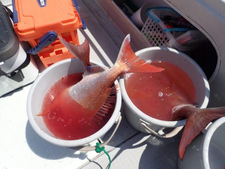 Aquanaut(アクアノート) 釣果