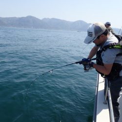 Aquanaut(アクアノート) 釣果