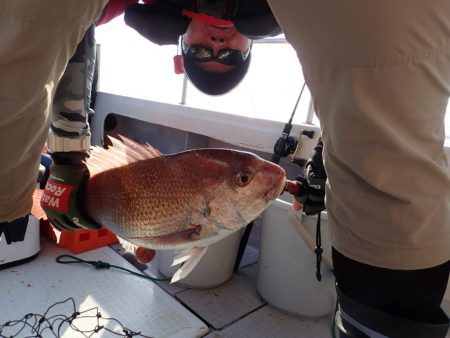 Aquanaut(アクアノート) 釣果