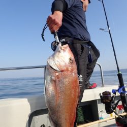 Aquanaut(アクアノート) 釣果